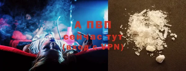 ГАЛЛЮЦИНОГЕННЫЕ ГРИБЫ Карталы