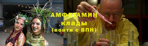 крисы Касимов