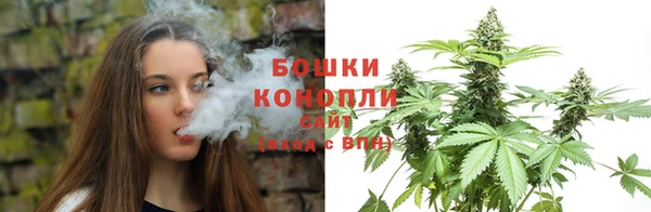 крисы Касимов