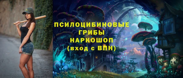 крисы Касимов
