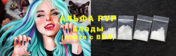 ГАЛЛЮЦИНОГЕННЫЕ ГРИБЫ Карталы