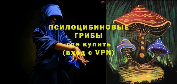 крисы Касимов
