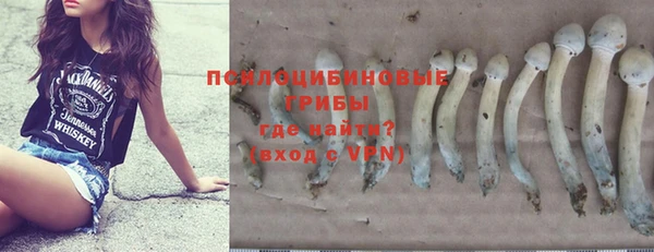 ГАЛЛЮЦИНОГЕННЫЕ ГРИБЫ Карталы