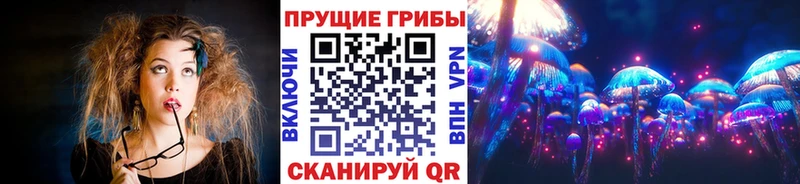 Галлюциногенные грибы ЛСД  Купить закладки  Петропавловск-Камчатский 