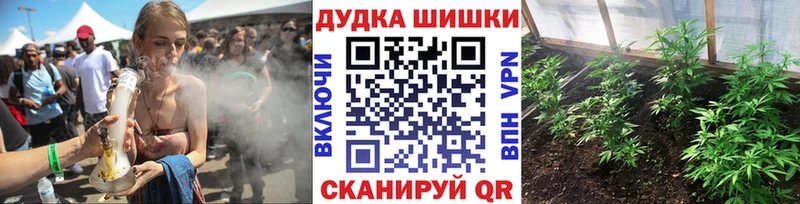 Купить где  Петропавловск-Камчатский  Бошки марихуана ГИДРОПОН 